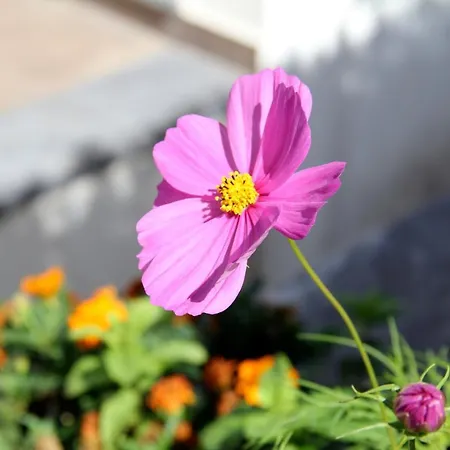 Espaço Biblos * Sintra